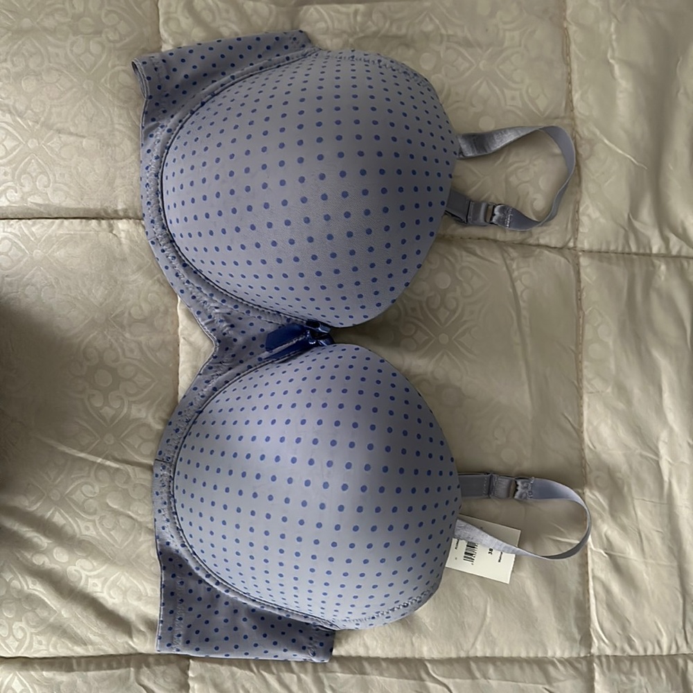 Bra
